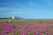 Lighthouse of Olbia