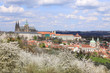 Spring Prague gothic Castle with the green Nature
