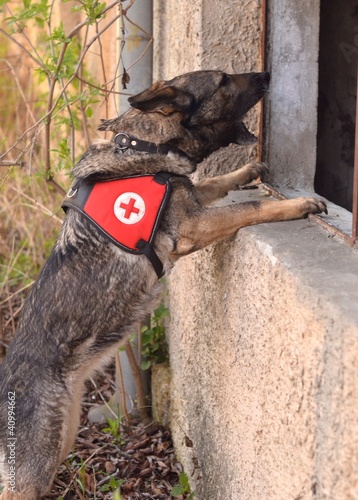 Photo: rescue rescue