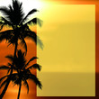 carte invitation lettre ombre palmier paradis texte