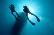 sihlouetted scuba divers