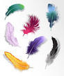 Set of 7 colorful feathers. Set of 7 colorful feathers.