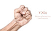 Yoga Mushti mudra