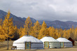 Ger camp at Khovsgol Lake , Northern Mongolia Ger camp at Khovsgol Lake , Northern Mongolia