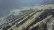 High angle view of Wreckage from a shipwreck