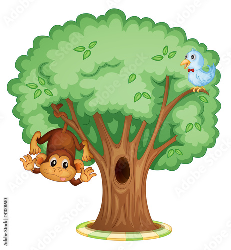 Vector: Monkey in a tree Monkey in a tree