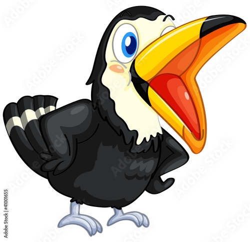 Vektor: Toucan on white background Toucan on white background