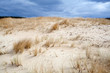 sand dune sand dune