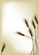 dark wheat silhouettes on golden background