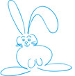 lapin bleu de face lapin bleu de face