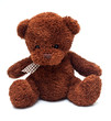 teddy bear isolated on white background