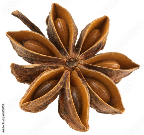 Foto: badiane, Anis étoilé, Illicium verum badiane, Anis étoilé, Illicium verum