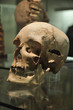 Foto: Skull Skull