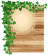 Vector: Wooden background with ivy Wooden background with ivy