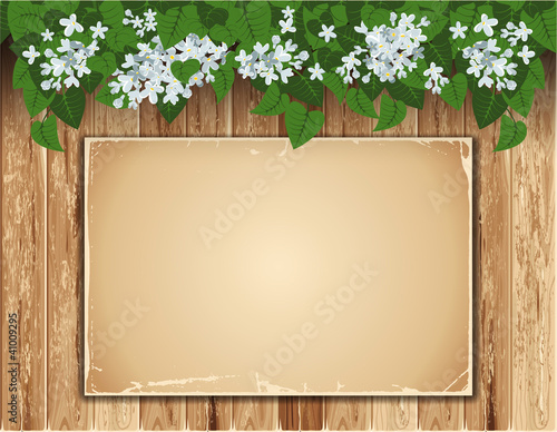 Vector: Vintage background Vintage background