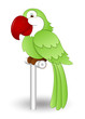 Cute Parrot