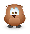 Cute Owl