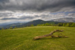 Paisaje bucolico