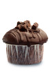 Photo: Chocolate Chip Muffin Chocolate Chip Muffin
