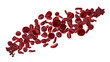 Illustration: Rote Blutkörperchen Rote Blutkörperchen