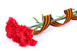 carnations and St. George