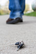 Lost keys are on the road