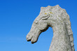 Portrait d'hippocampe Portrait d'hippocampe