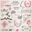 Photo en ligne au meilleur prix Vector Set: Calligraphic Design Elements and Page Decoration, Vi