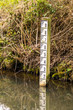 Water levels