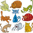 cartoon cats set