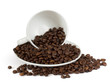 cup of coffee cup of coffee