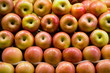 Pile of Apples