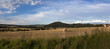 Countryside panorama with farms and a church on a hill Countryside panorama with farms and a church on a hill