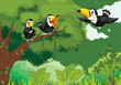 Toucans in the jungle Toucans in the jungle