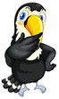 Toucan