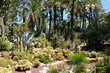 Huerto del Cura garden