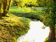 Idyllisches Flussbett