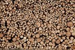 Holzindustrie