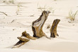 Slowinzisches Küstenland 072