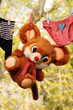 Baby clothes, soft toys. Drying after washing Baby clothes, soft toys. Drying after washing