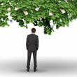 Money tree and young business mans