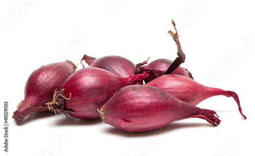 Photo: red onion seed red onion seed