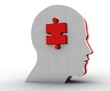 profil puzzle