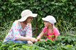 Mother and daughter gardening together