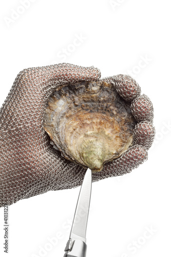 Photo: Opening a flat oyster with a knife Opening a flat oyster with a knife
