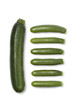 Courgette and mini courgettes