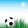 Soccer Ball background. Soccer ball in the green grass.