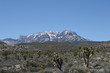 Spring mountains Nevada
