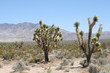 Spring mountains Nevada