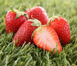 strawberry on herb strawberry on herb